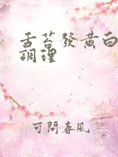 舌苔发黄白怎么调理