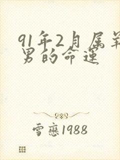 91年2月属羊男的命运