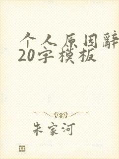 个人原因辞职信20字模板