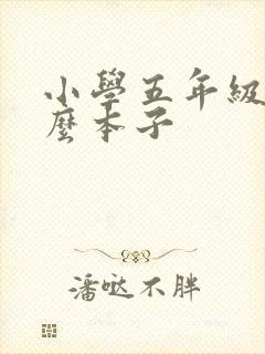 小学五年级用什么本子