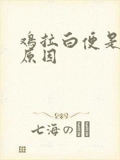 鸡拉白便是什么原因