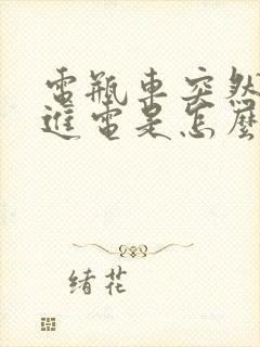 电瓶车突然充不进电是怎么回事