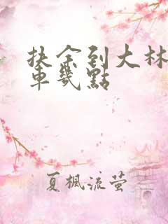 扶余到大林子客车几点