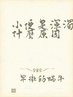 小便是浑浊的是什么原因