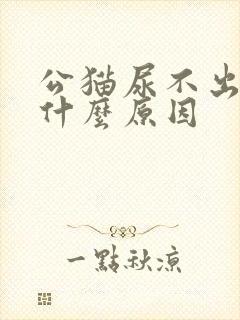 公猫尿不出尿是什么原因