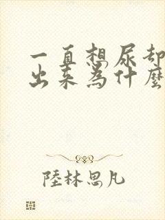 一直想尿却尿不出来为什么