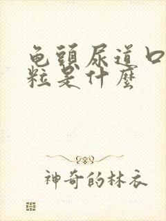 龟头尿道口有肉粒是什么