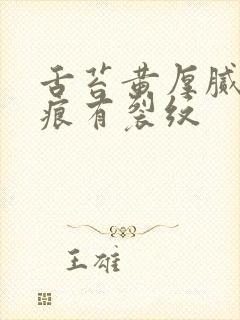 舌苔黄厚腻有齿痕有裂纹