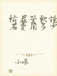 输尿管软镜取结石费用多少