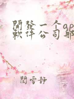 开发一个app软件公司那家好