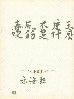 春风不度玉门关吹的是什么风