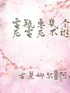 电瓶车几个月没充电充不进怎么办