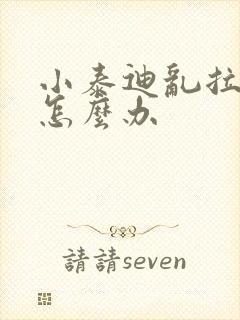 小泰迪乱拉乱尿怎么办