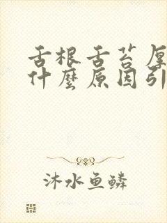 舌根舌苔厚黄是什么原因引起的