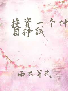 投资一个什么项目挣钱