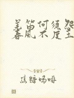 羌笛何须怨杨柳春风不度玉门关修辞