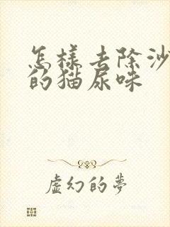 怎样去除沙发上的猫尿味