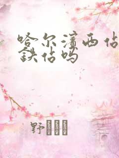 哈尔滨西站有地铁站吗