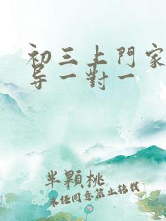 初三上门家教辅导一对一