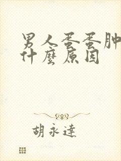 男人蛋蛋肿疼是什么原因