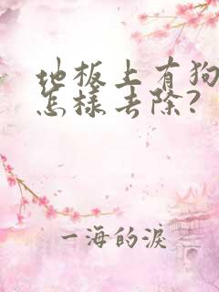 地板上有狗尿味怎样去除?