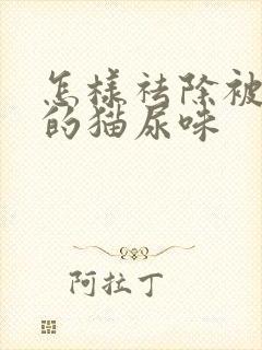 怎样祛除被子上的猫尿味