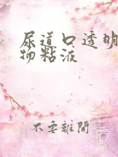 尿道口透明分泌物粘液