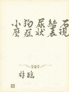 小狗尿结石是什么症状表现