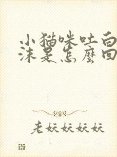 小猫咪吐白色泡沫是怎么回事