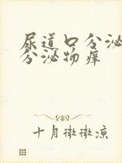 尿道口分泌黄色分泌物痒