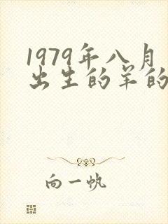 1979年八月出生的羊的命运