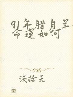 91年腊月羊女命运如何