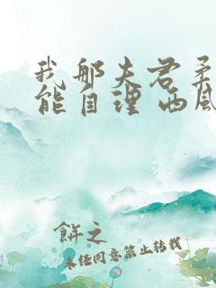 我那夫君柔弱不能自理 西风锦