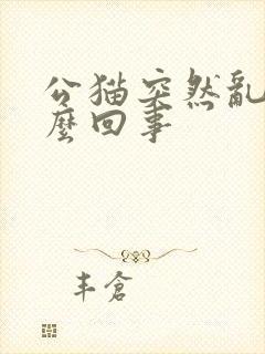 公猫突然乱尿怎么回事