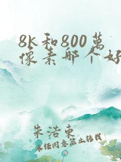 8k和800万像素哪个好