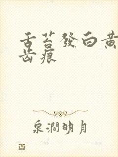 舌苔发白黄腻有齿痕