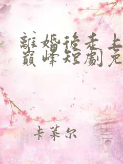 离婚后走上人生巅峰短剧免费看