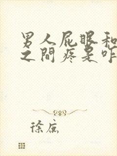 男人屁眼和睾丸之间疼是咋回事