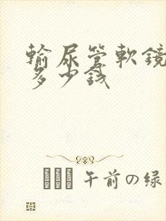 输尿管软镜取石多少钱