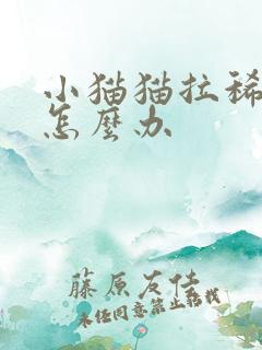 小猫猫拉稀呕吐怎么办