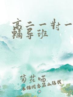 高二一对一补习辅导班