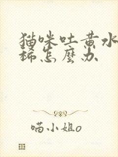 猫咪吐黄水还拉稀怎么办