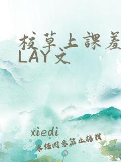 校草上课羞耻PLAY文
