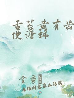 舌苔黄有齿痕大便溏稀