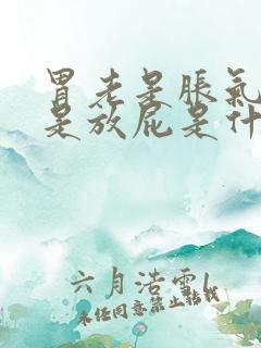 胃老是胀气还老是放屁是什么原因