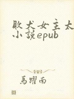 败犬女主太多了小说epub