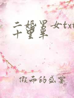 二婚男女txt十里半