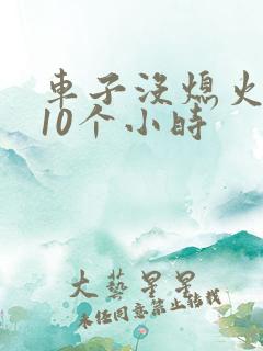 车子没熄火停了10个小时