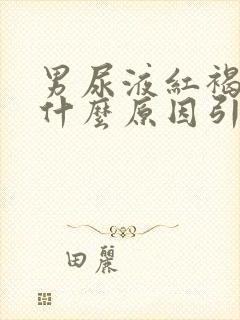 男尿液红褐色是什么原因引起的