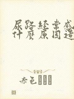 尿路经常感染是什么原因造成的?